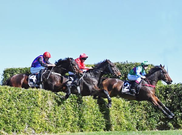 Hey Happy bolts in at Te Rapa