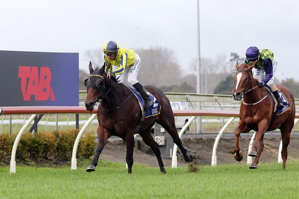 Wexford seeking to continue winning week