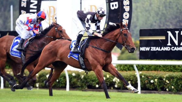 Shamus enjoying change of scene