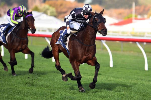 Sharrock takes three shots at Rangitikei Cup