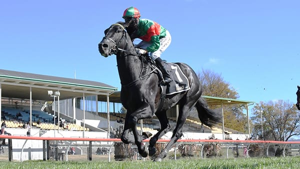 Geriatrix Brisbane bound