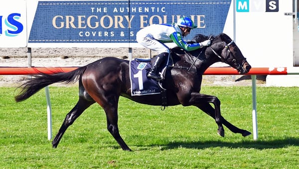 Magice weaves magic at Matamata