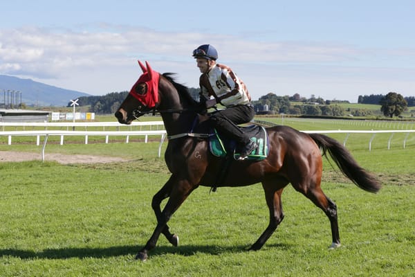 Kelsos keeping with successful formula