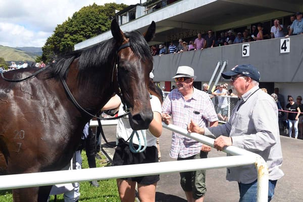Former captain loving training racehorses