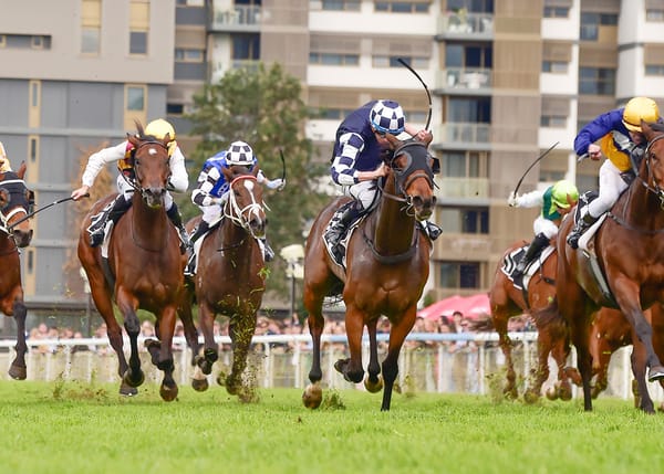 Group Three win bolsters Maracana’s value