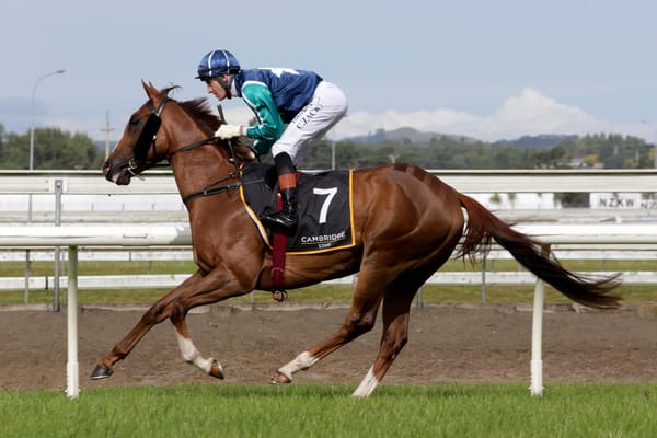 Raceday return imminent for Master Brutus