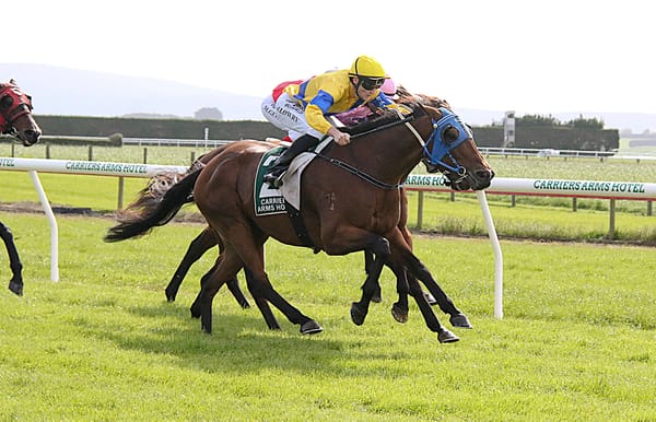 Midnight Runner looking to continue consistent form line at Riverton