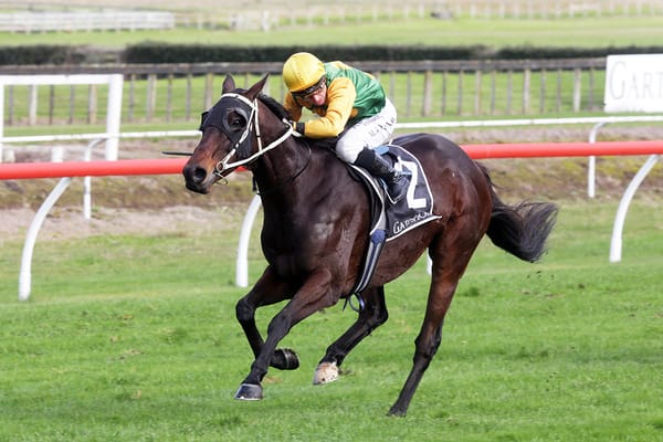 Liefting off to Hawera with jumping pair