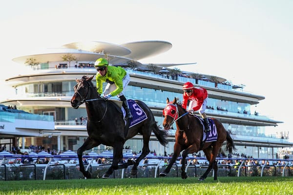 Navy King shows staying prowess