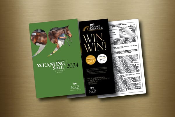 NZB’s Weanling Sale Catalogue Now Online 