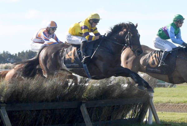 Password back on top at Hawera