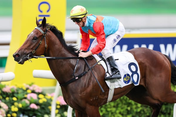 Ka Ying Rising aims to prove ground in Gr.3 Sha Tin Vase