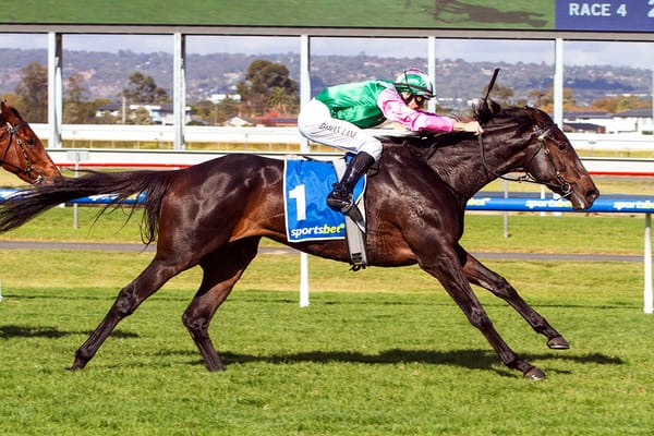 Positivity all class in SA Fillies Classic