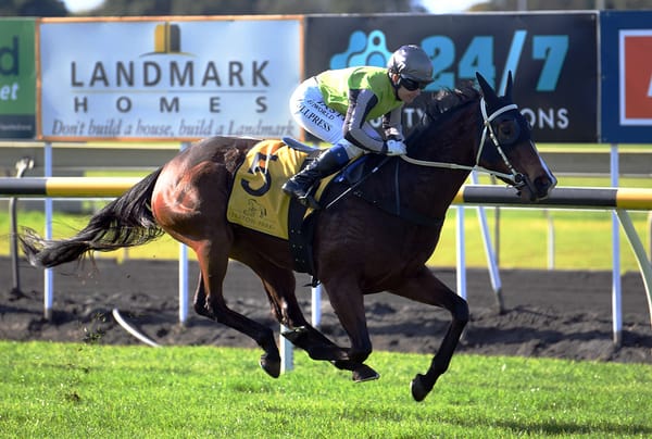 Rocababy all the way at New Plymouth