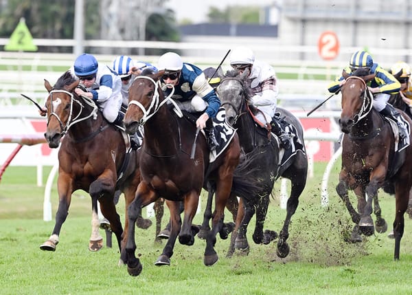 Scarlet Oak prevails in Roses