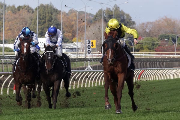 Small but mighty Southern Warrior earns stakes win