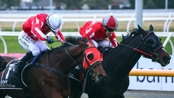 Repeat quinella for Pitman pair