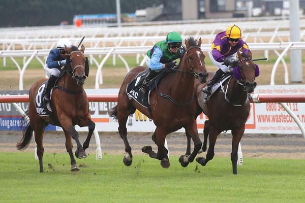 Robinson well represented at Riccarton