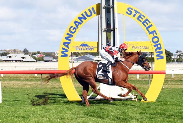 Wewillrock sticking close to home