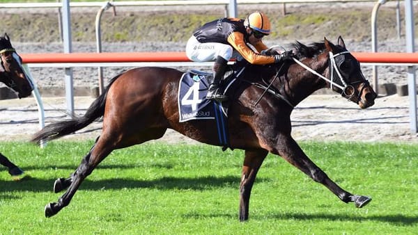 Prima Park celebrate winning graduates