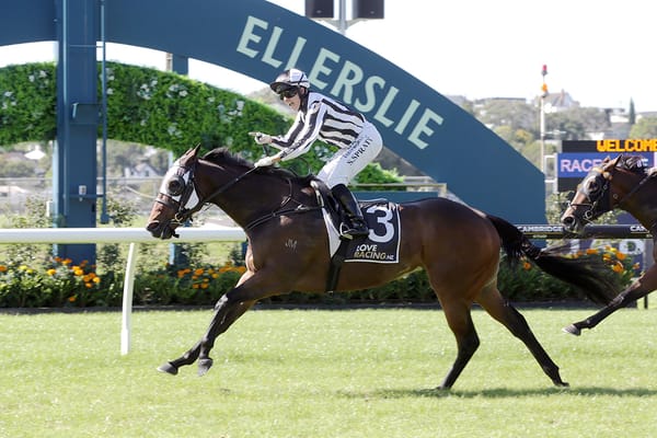 Belclare aiming for NZ Breeders’ threepeat