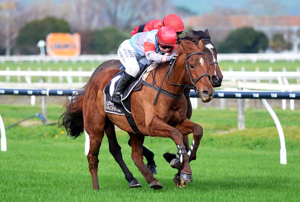 Berry The Cash too tough in Hastings Hurdle feature