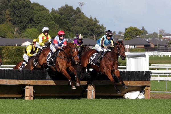 Berry The Cash buries rivals in Waikato Hurdles