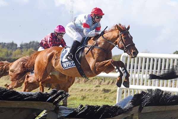 Jumper looking to cash in at Te Rapa