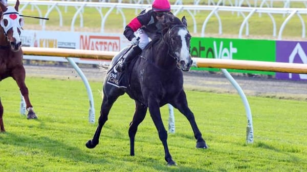 Catherinenz brings Patterson one step closer to season goal