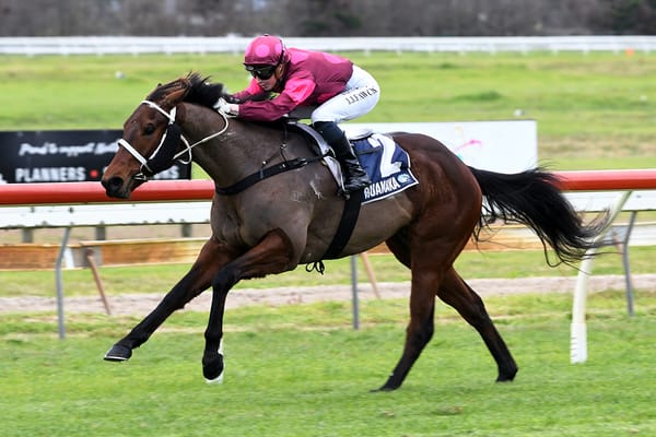 Unbeaten Dan Vegas delivers Ruakaka repeat