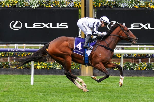 Winning machine Fancify scores for new connections