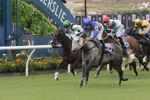 Gentian Blue up for Australian campaign