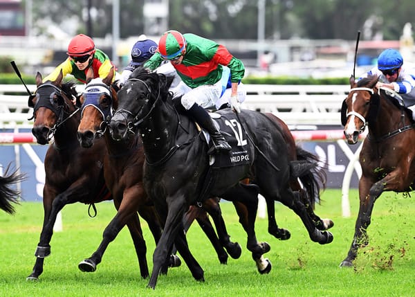 Geriatrix shines on Australian debut