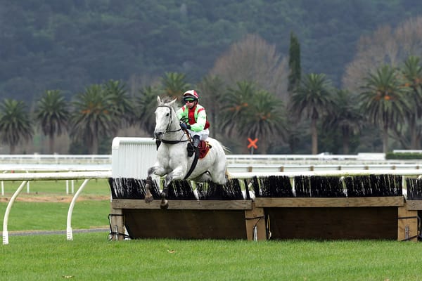 Successful jumping debut for Helena Baby