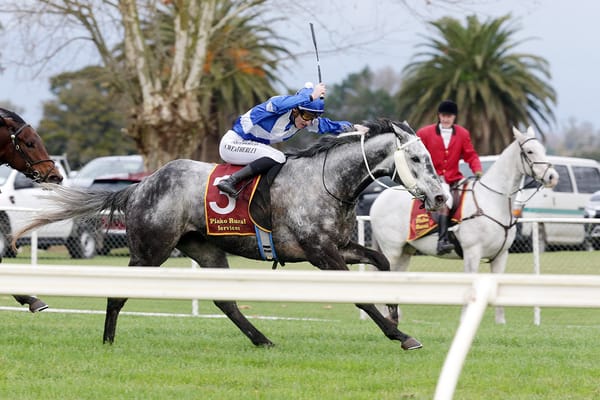 Hula Beat takes out Te Aroha Cup