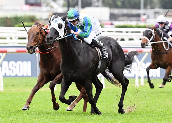 Star Wishes for a Valley Win