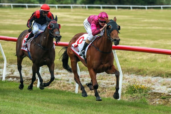 Illicit Dreams ready to resume at Ruakaka