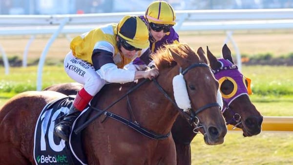 Beckett holds strong hand at synthetic meeting