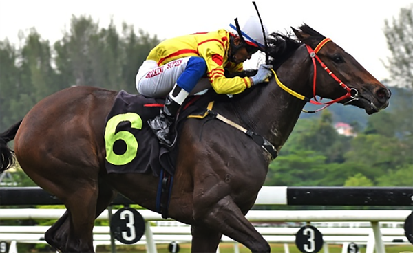 Kong Fu Panda wins Ipoh Gold Vase