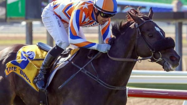 Leaderboard finds new avenue of success