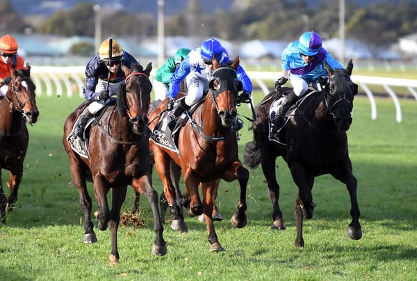 Liffey lands deserved win in North Island Challenge Stakes