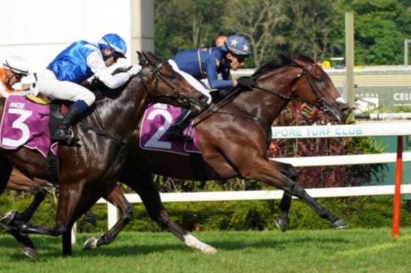 Lim's Saltoro wins Silver Bowl