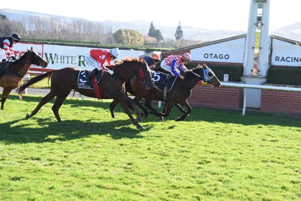 Lofty the gift that keeps on giving at Wingatui