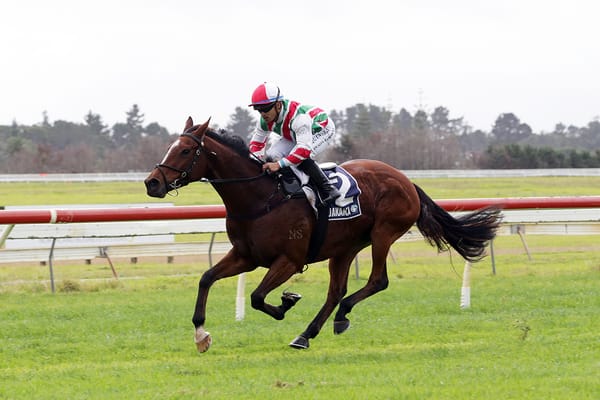 Malt Time all class in Ruakaka feature