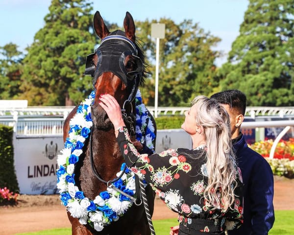 Riccarton stable welcome back well-performed youngsters