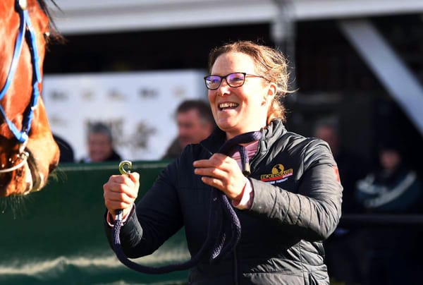 gavelhouse.com purchase proving to be astute buy