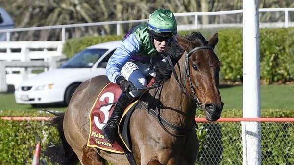 Parker relishing New Zealand opportunity