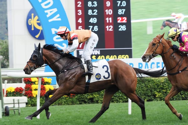 Hall has high hopes for Atullibigeal