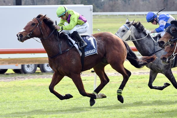Shamus back on song in Waipu Cup