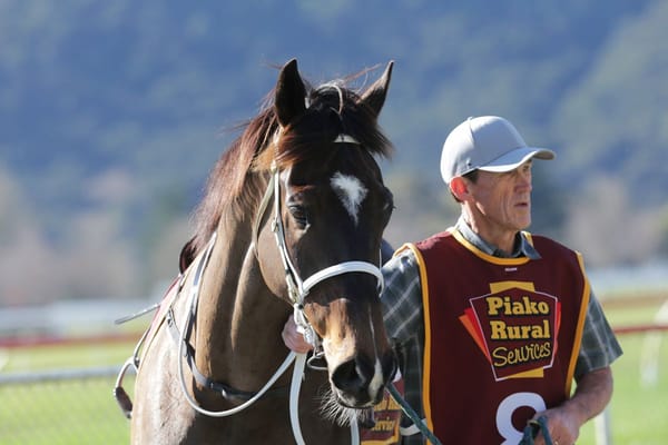 Jumping success a dream come true for Blackie
